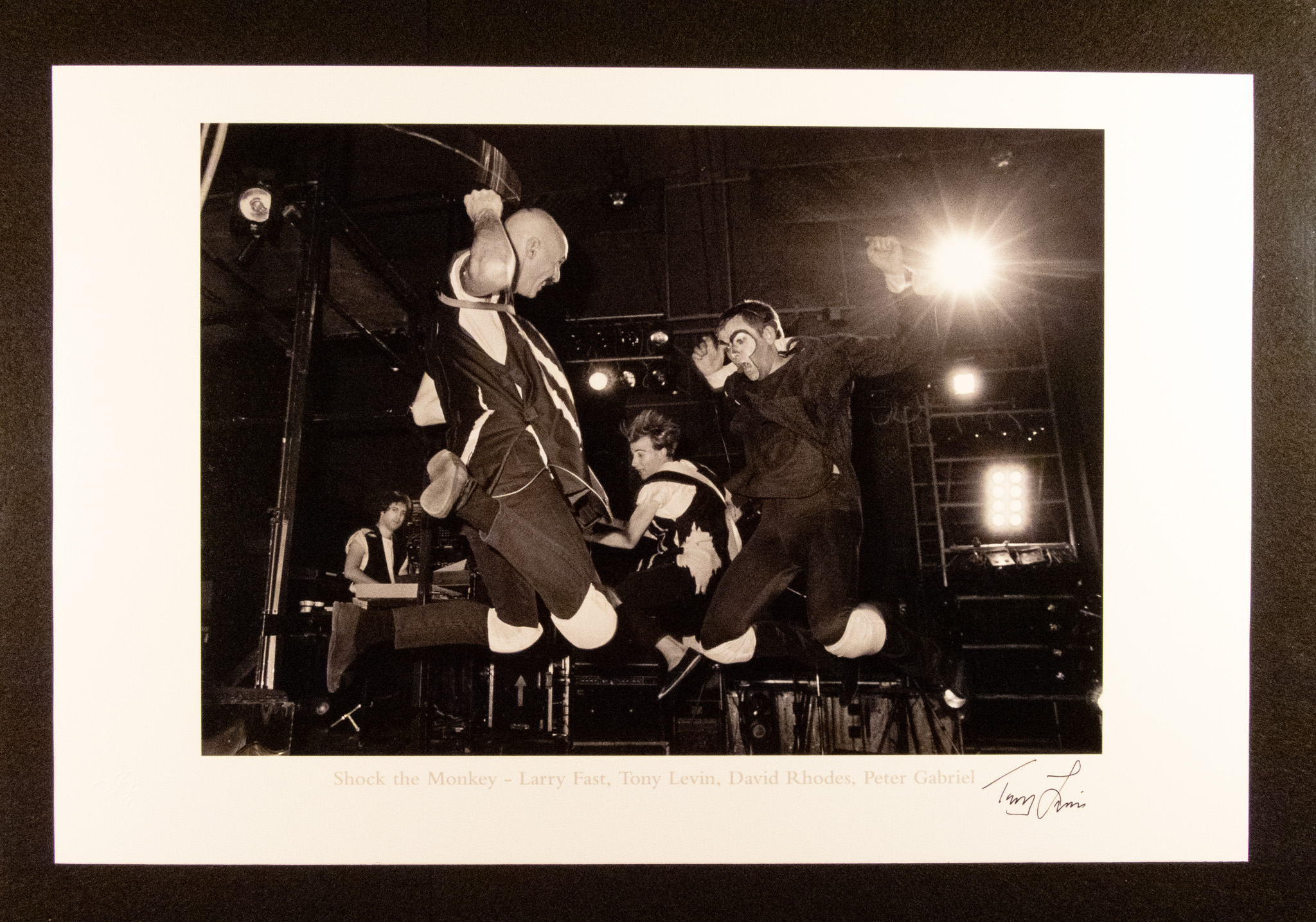 Shock the Monkey - Larry Fast, Tony Levin, David Rhodes, and Peter Gabriel in concert ca 1982